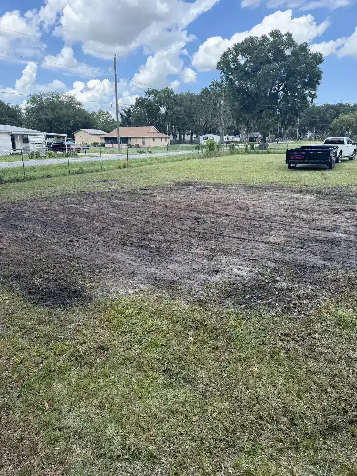 Stump after removal