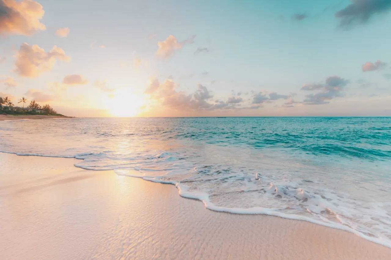 Clearwater FL service-area photograph
