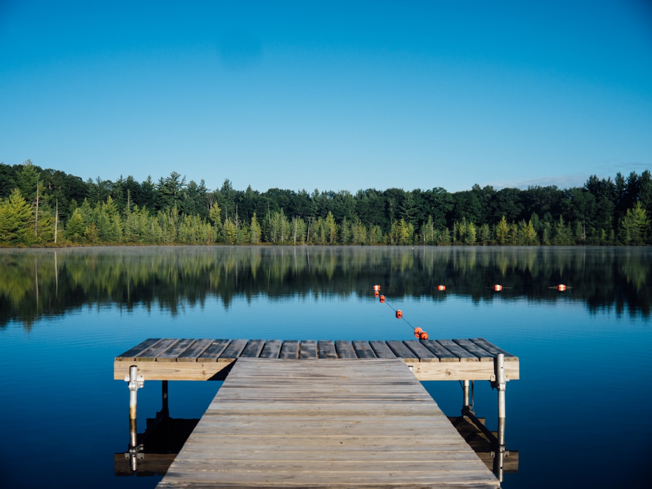 Land O' Lakes, Florida — service area for Knight Logics web design and local SEO
