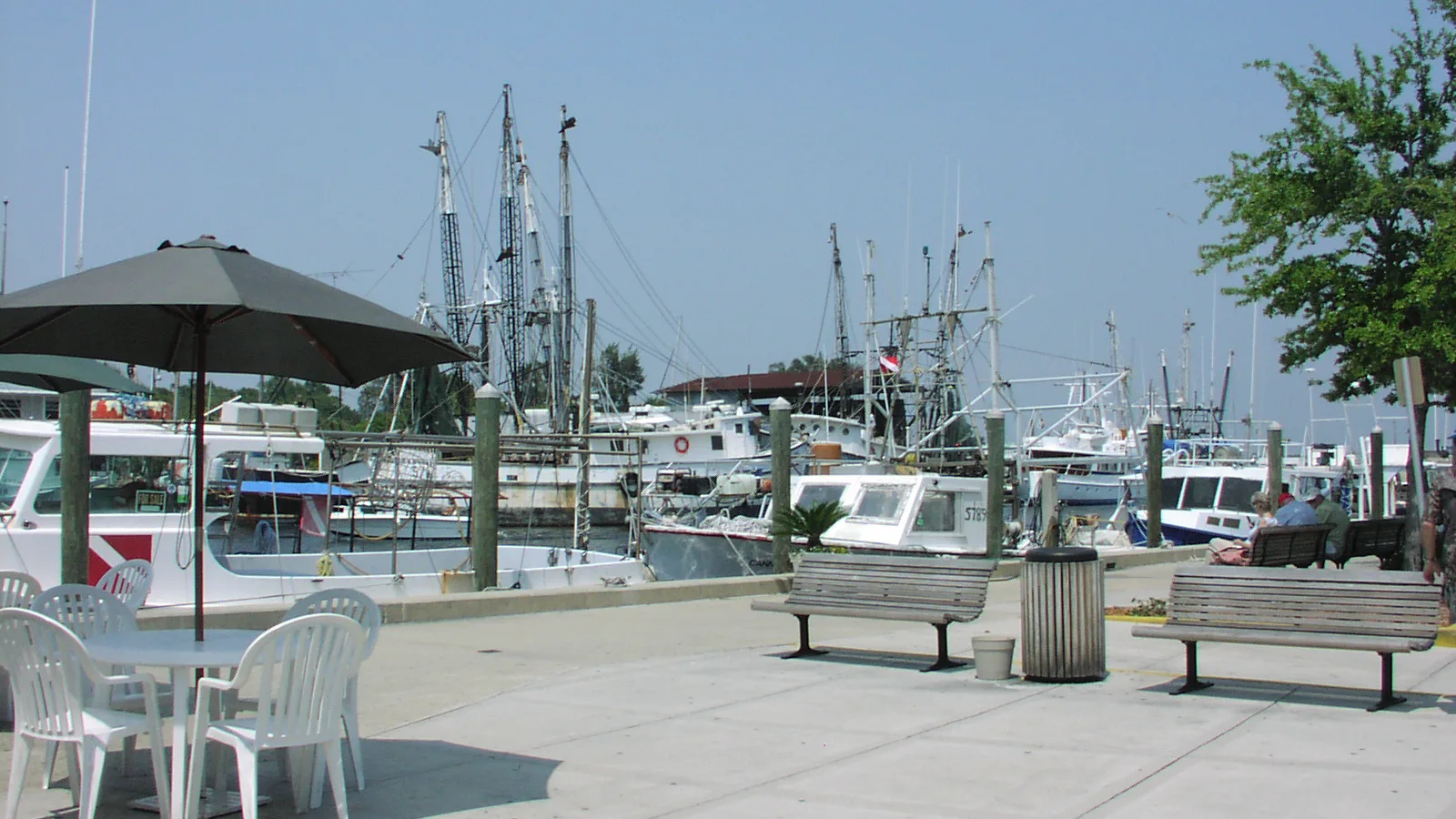 Sponge Docks in Tarpon Springs, Florida